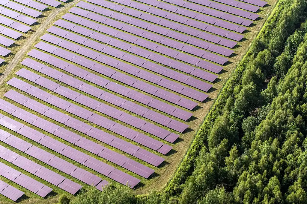 agrivoltaique_protection-culture_transi-sun