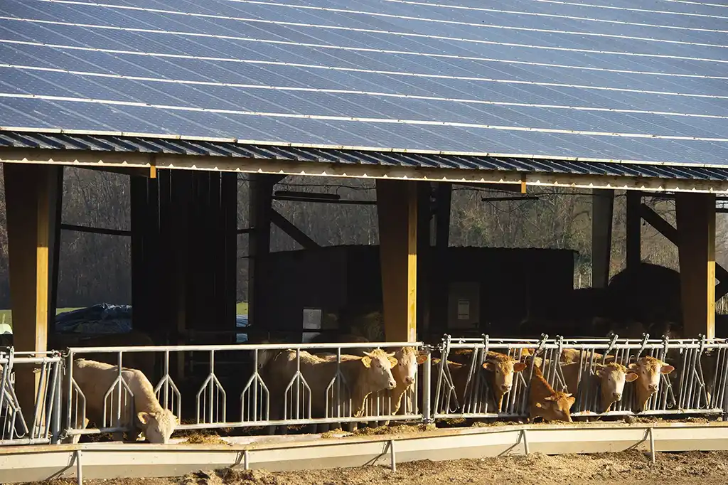agrivoltaique_securisation_transi-sun