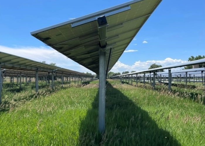 Agrivoltaïsme (3)