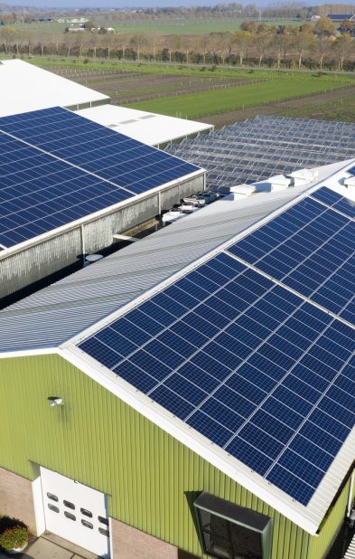 Flower bulb company with solar panels in a row on a roof. Photo taken with a drone
